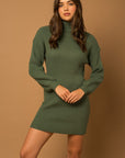 Turtle Neck Balloon Sleeve Sweater Dress (Various colors), Le Lis