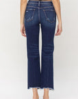 High Rise Regular Straight Jean, Flying Monkey