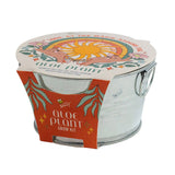 Buzzy seeds mini galvanized basin aloe grow kit