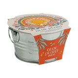 Buzzy seeds mini galvanized basin aloe grow kit
