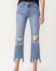 Lovervet High Rise Distressed Straight Jeans