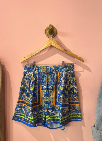 Printed Woven Shorts, Flying Tomato