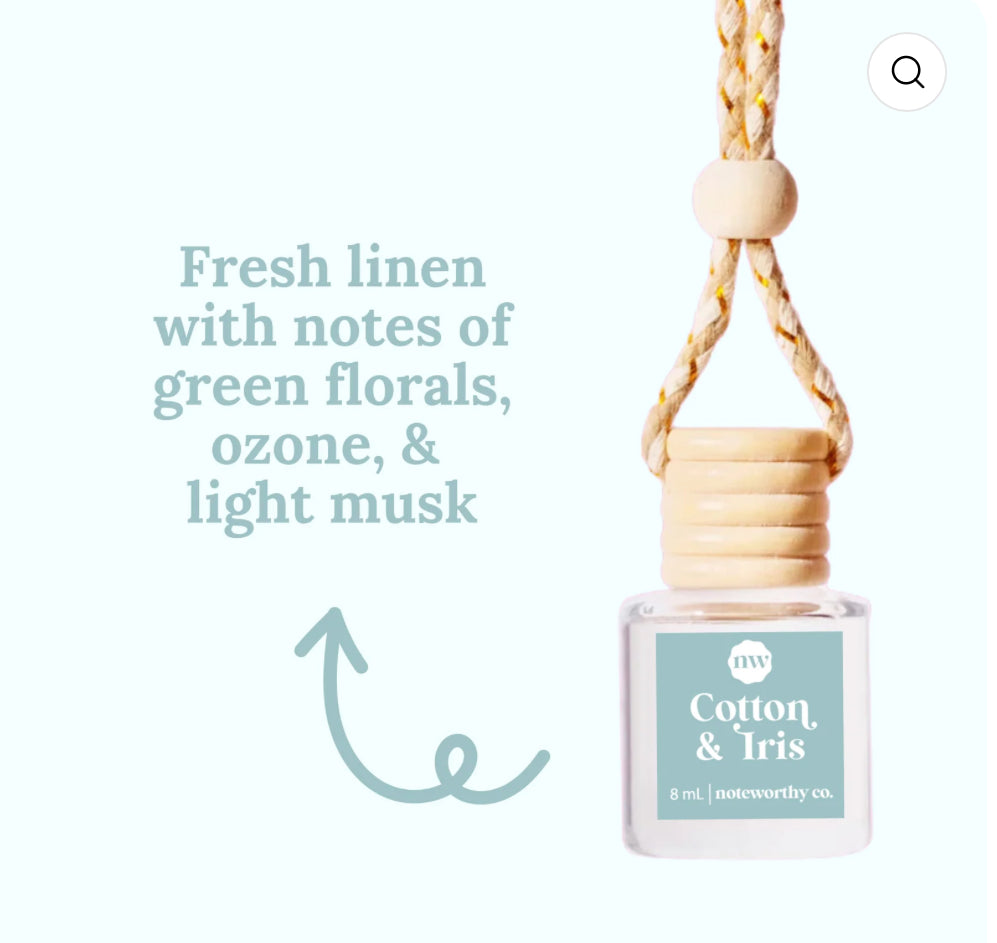 Noteworthy Co - SPRING & SUMMER CAR DIFFUSERS | NEW | 2025