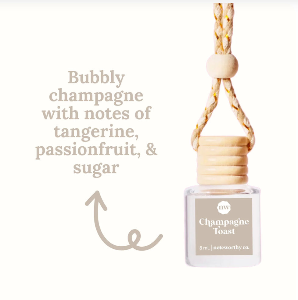 Noteworthy Co - SPRING & SUMMER CAR DIFFUSERS | NEW | 2025