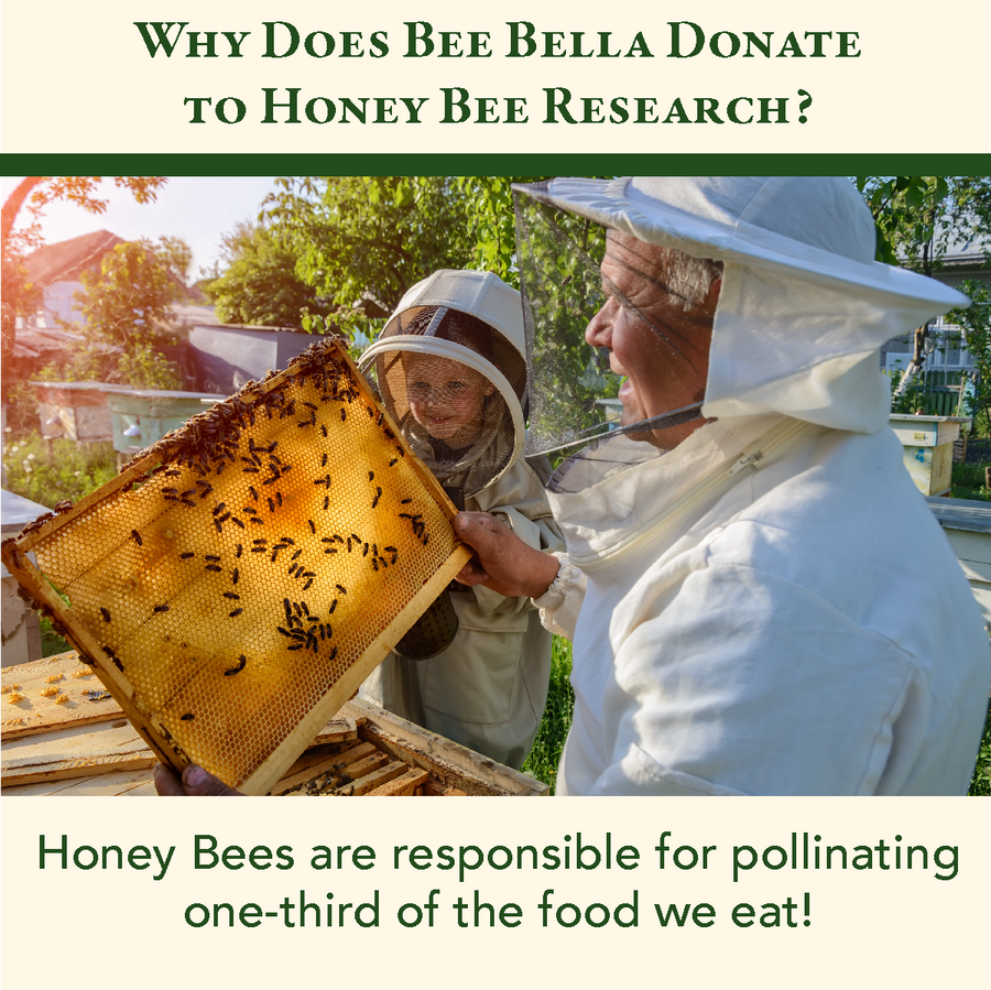 Bee Bella - Cherry Lip Balm