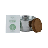 Buzzy seeds mini galvanized basin aloe grow kit