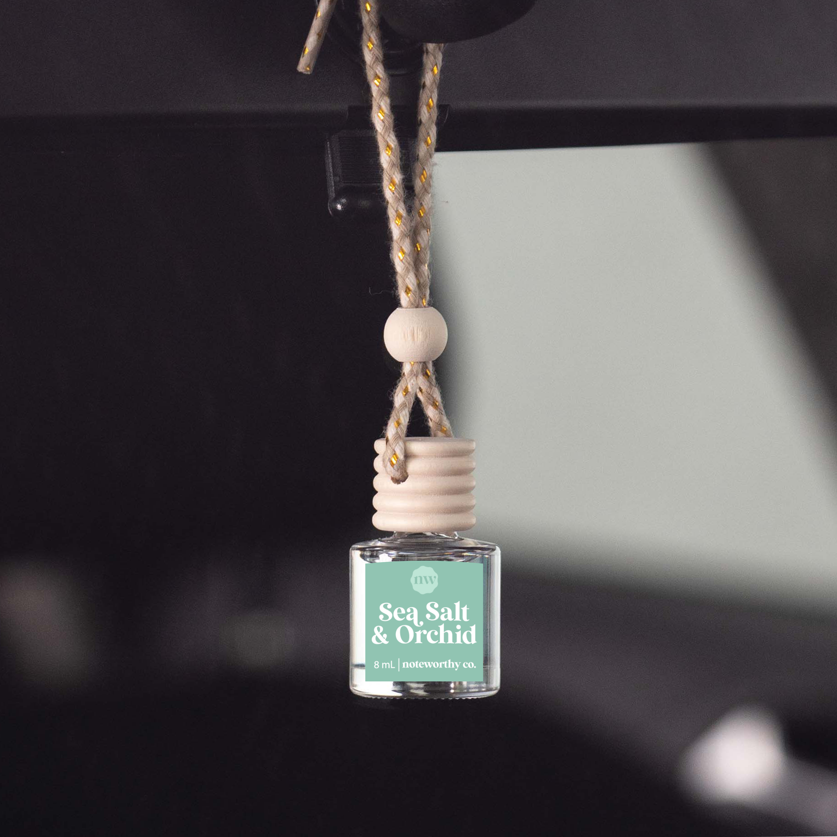 Noteworthy Co - Car Diffusers
