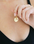 Chinese Zodiac Coin Necklace - Pig