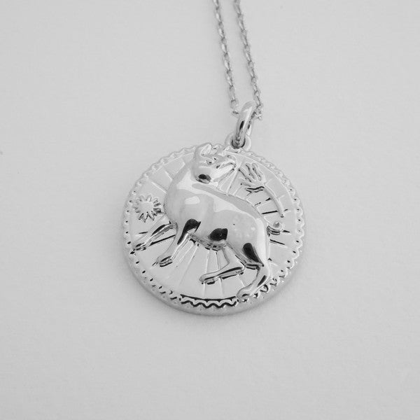 Chinese Zodiac Coin Necklace - Pig